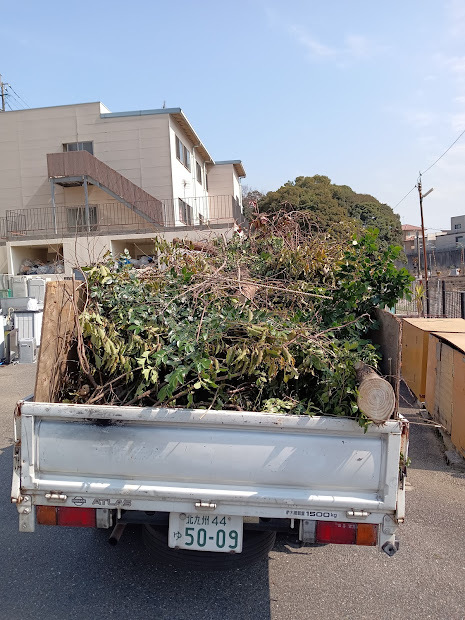 庭の剪定・処分